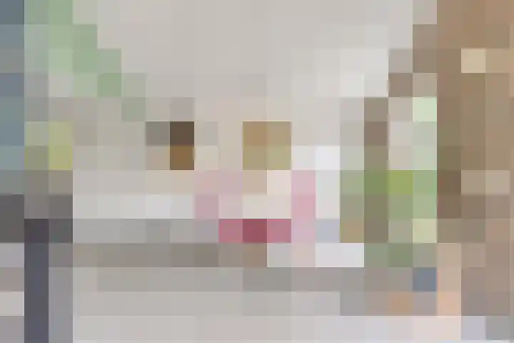 Pandelaar 50 Gemert thumbnail 51