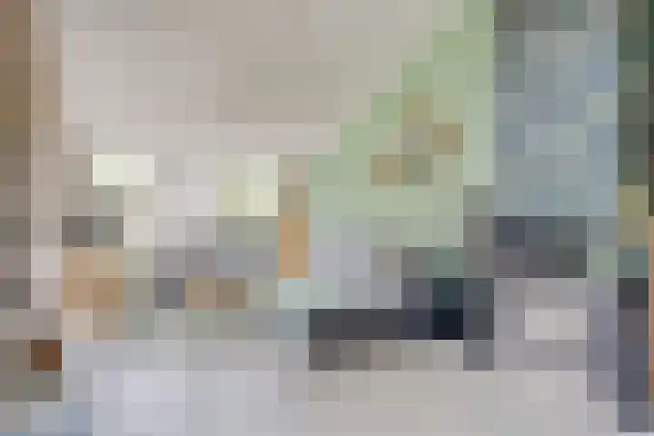 Pandelaar 50 Gemert thumbnail 53