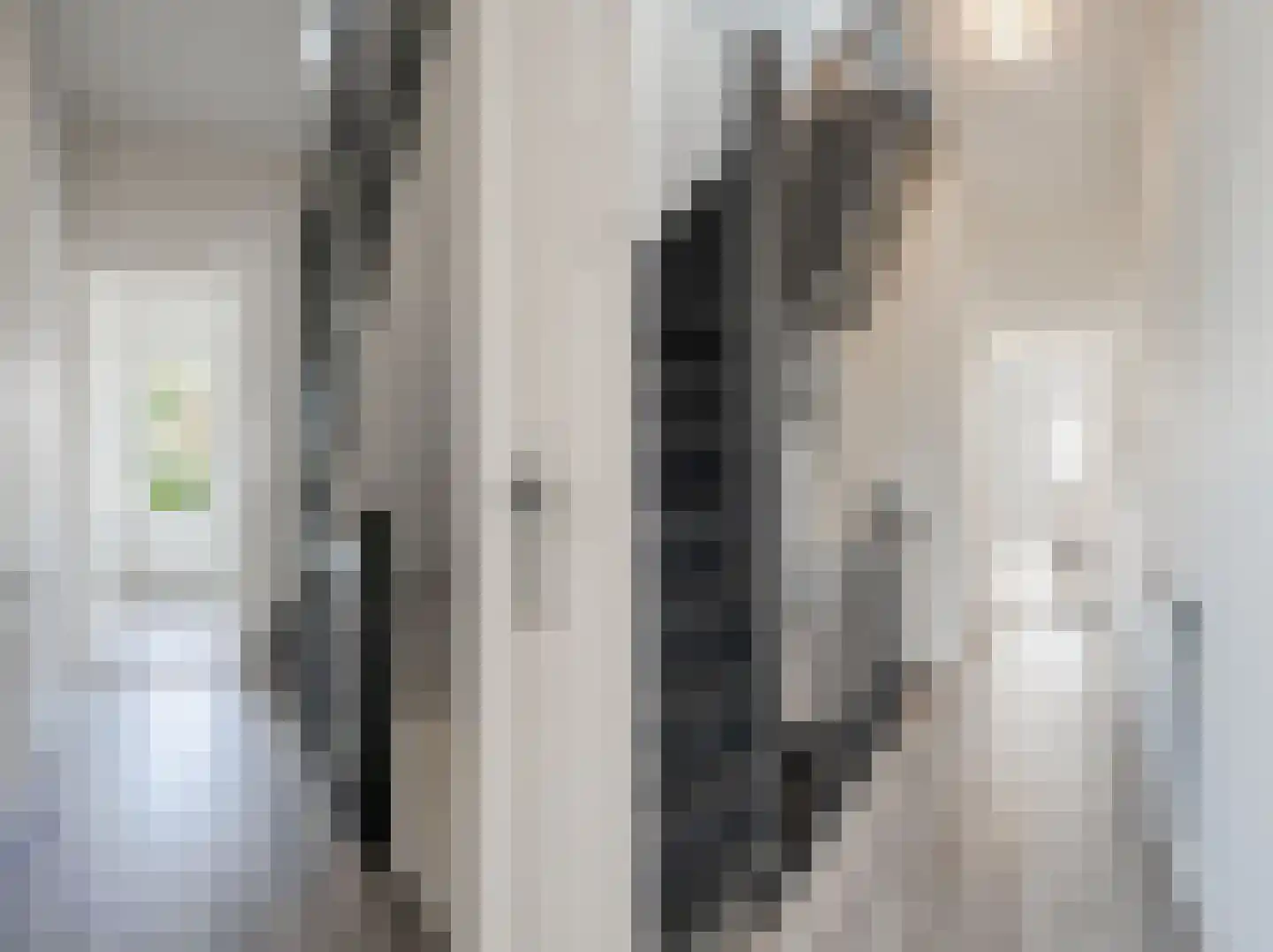 Pandelaar 50 Gemert thumbnail 54
