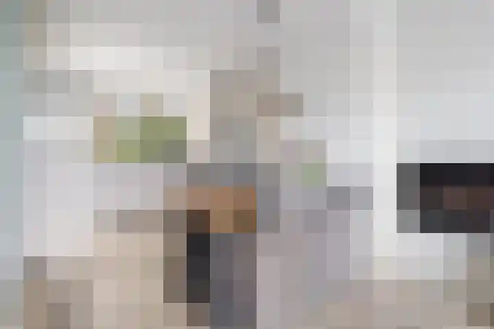 Pandelaar 50 Gemert thumbnail 58