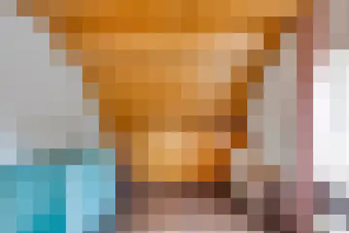 Pandelaar 50 Gemert thumbnail 58