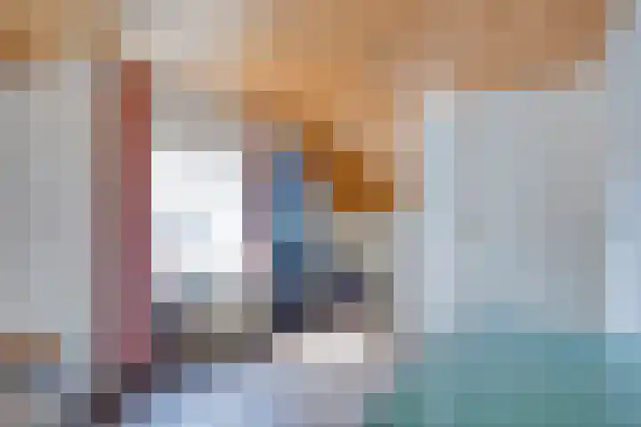 Pandelaar 50 Gemert thumbnail 59
