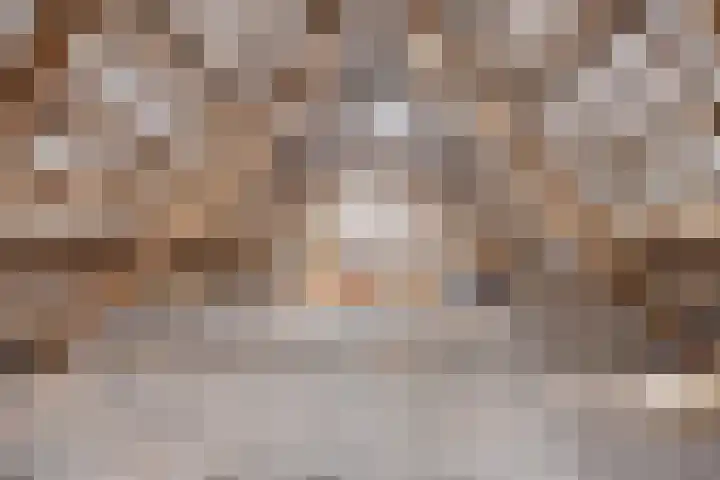Pandelaar 50 Gemert thumbnail 60