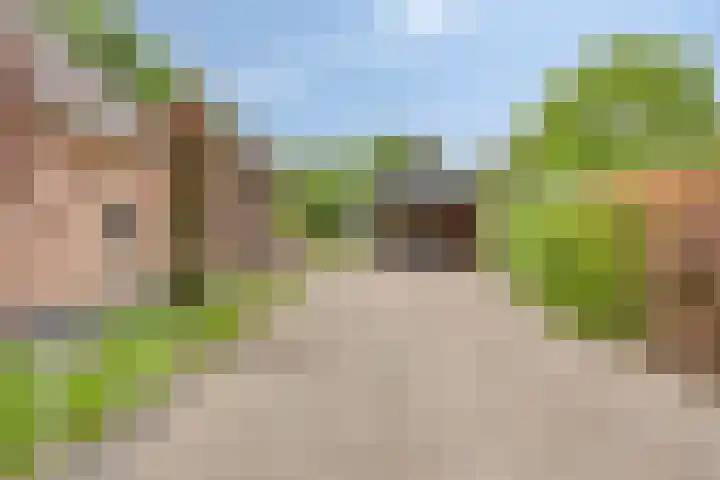 Pandelaar 50 Gemert thumbnail 63