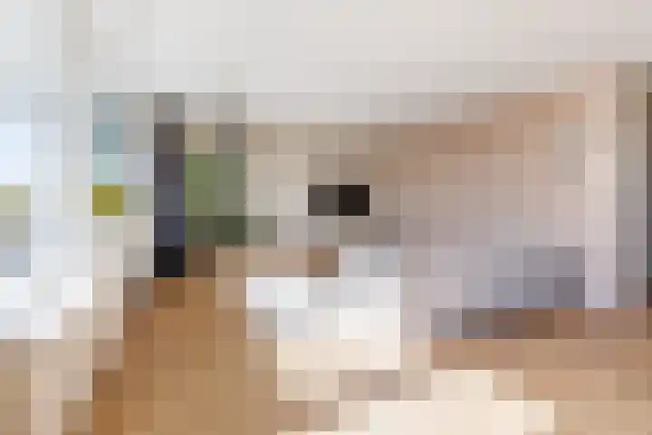 Pandelaar 50 Gemert thumbnail 65
