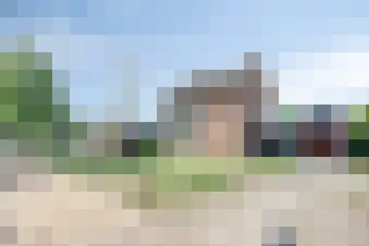 Pandelaar 50 Gemert thumbnail 74