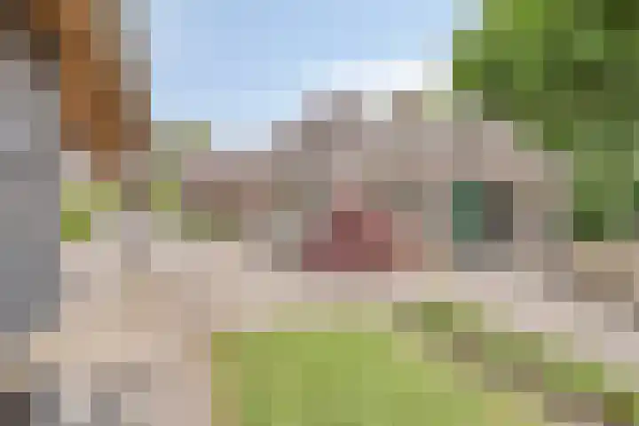 Pandelaar 50 Gemert thumbnail 74