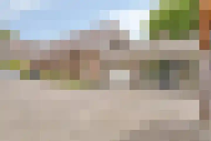 Pandelaar 50 Gemert thumbnail 75