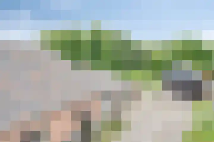 Pandelaar 50 Gemert thumbnail 76