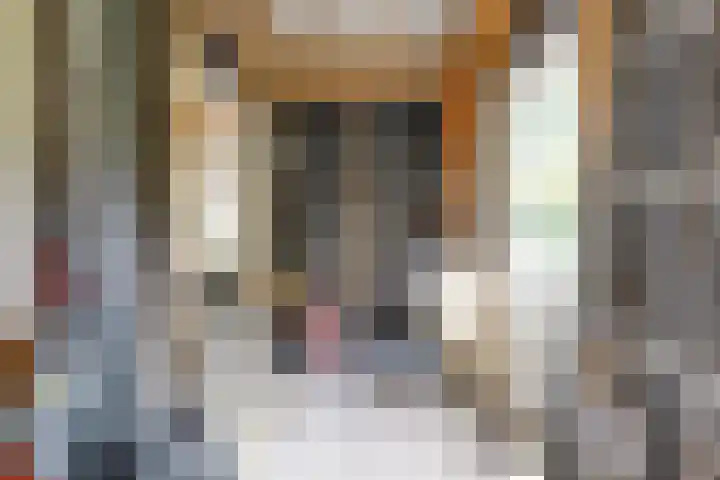 Pandelaar 50 Gemert thumbnail 80
