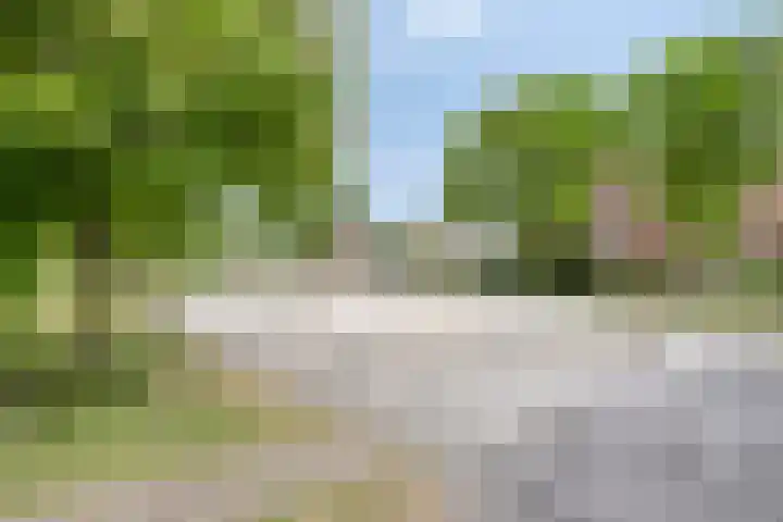 Pandelaar 50 Gemert thumbnail 81
