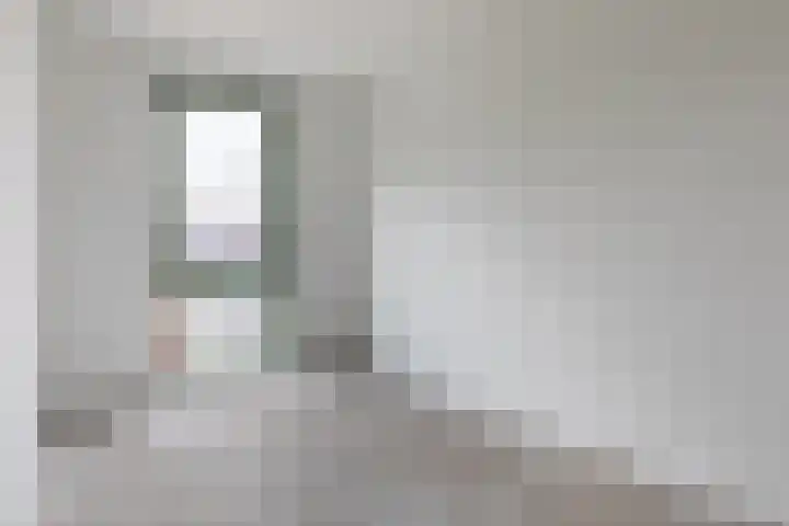 Pandelaar 50 Gemert thumbnail 85