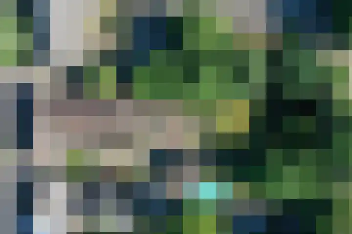 Pandelaar 50 Gemert thumbnail 86