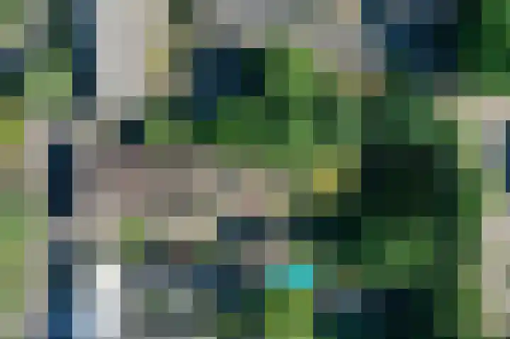 Pandelaar 50 Gemert thumbnail 87