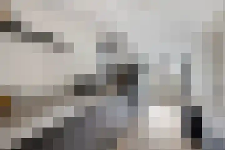Pandelaar 59 Gemert thumbnail 10