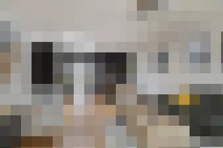 Pandelaar 59 Gemert thumbnail 14