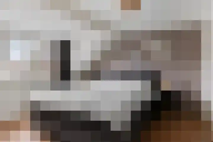 Pandelaar 59 Gemert thumbnail 17