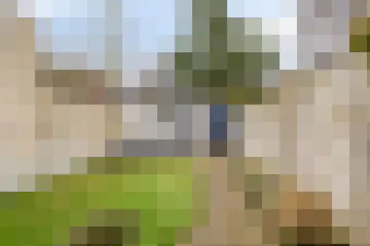 Pandelaar 59 Gemert thumbnail 21
