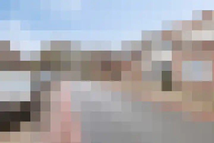 Pandelaar 59 Gemert thumbnail 23