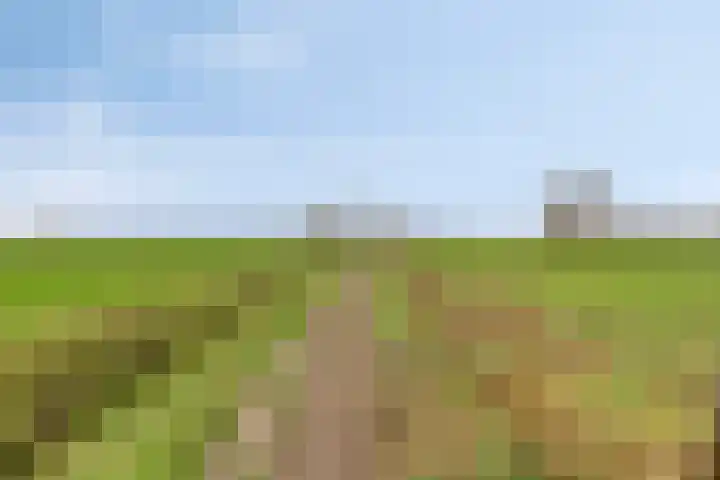 Pandelaar 59 Gemert thumbnail 24