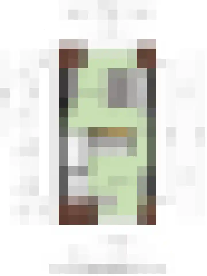 Pandelaar 59 Gemert thumbnail 26