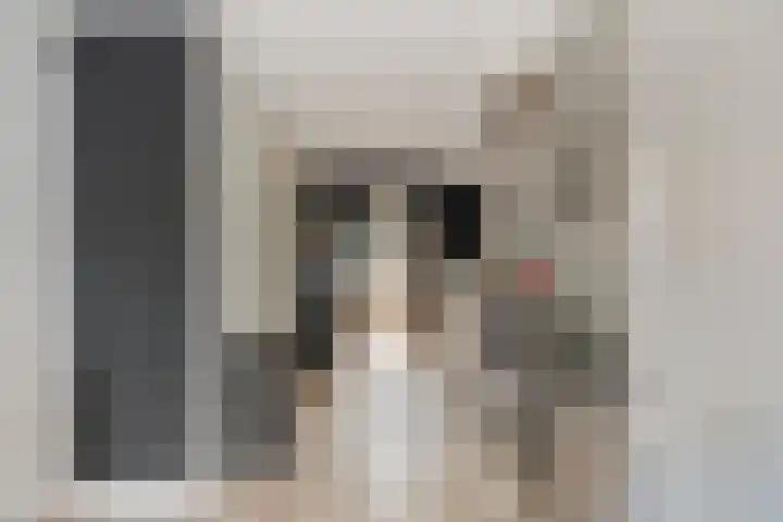 Pandelaar 59 Gemert thumbnail 8