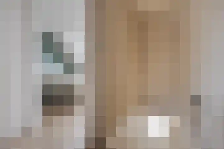 Pandelaar 61 Gemert thumbnail 18