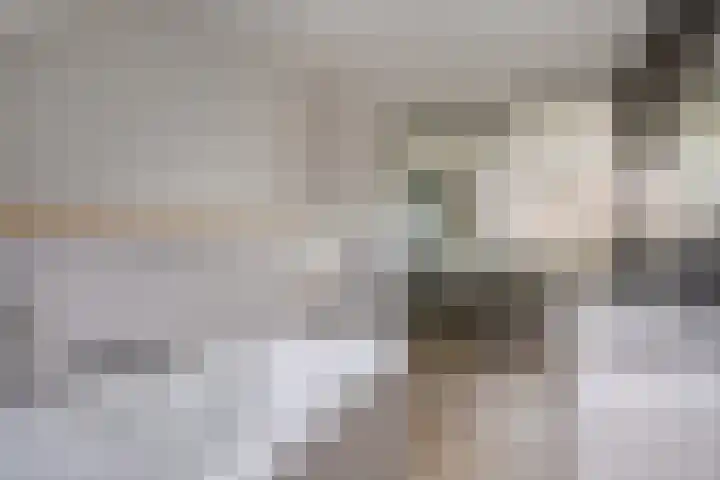 Pandelaar 61 Gemert thumbnail 22