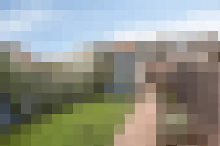 Pandelaar 61 Gemert thumbnail 25
