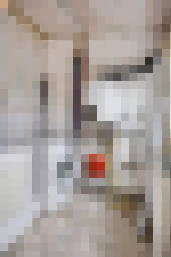 Pandelaar 61 Gemert thumbnail 27