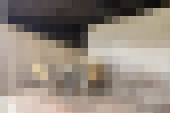 Pandelaar 61 Gemert thumbnail 29