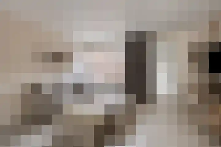 Pandelaar 61 Gemert thumbnail 4