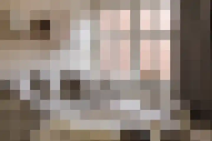 Pandelaar 61 Gemert thumbnail 6