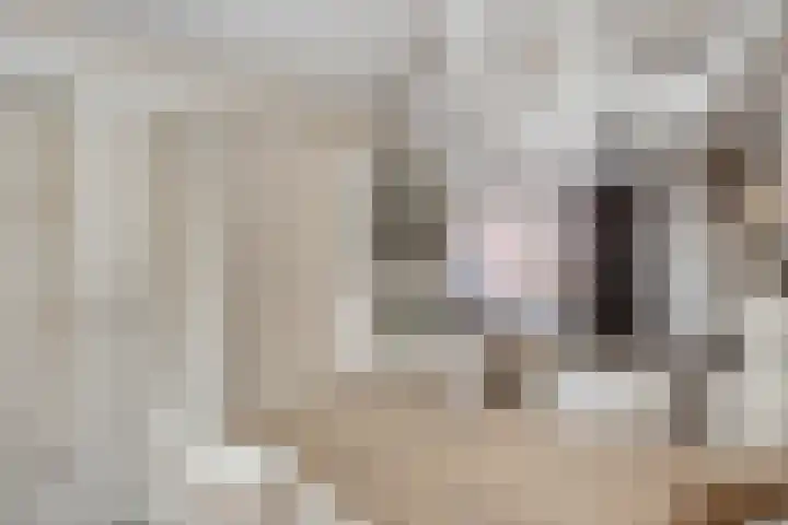Pandelaar 61 Gemert thumbnail 9