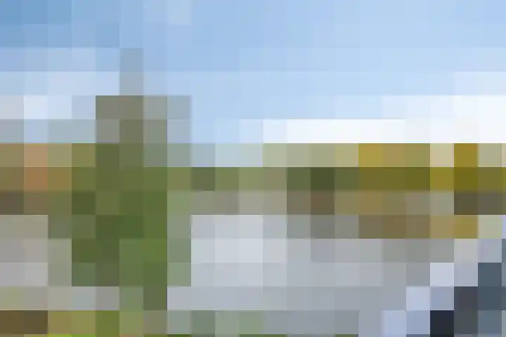 Pandora 40 IJsselstein thumbnail 5