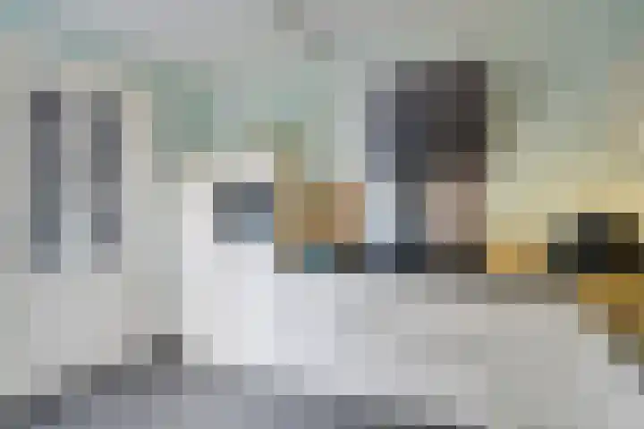 Pannekoekendijk 7 Erica thumbnail 12