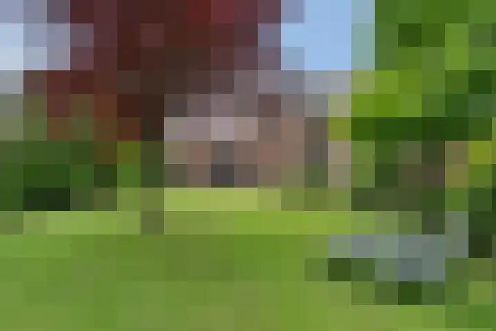 Pannekoekendijk 7 Erica thumbnail 31