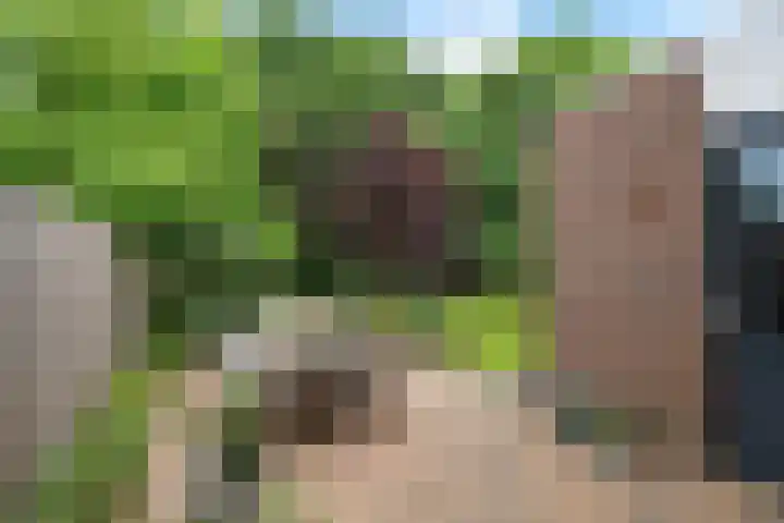 Pannekoekendijk 7 Erica thumbnail 33