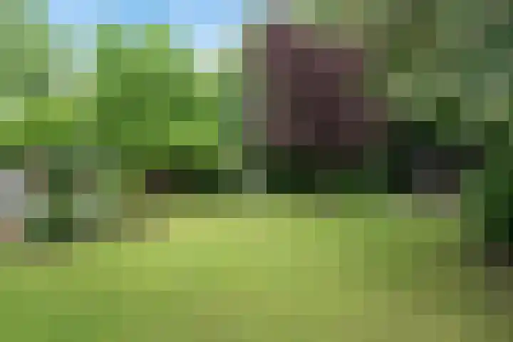 Pannekoekendijk 7 Erica thumbnail 34