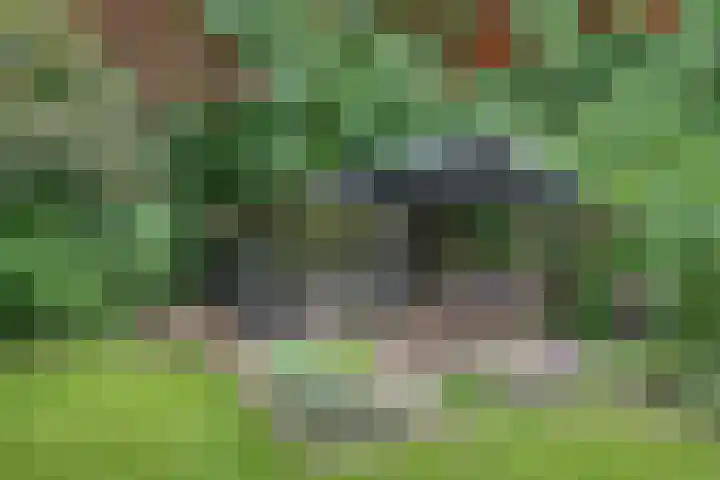 Pannekoekendijk 7 Erica thumbnail 36