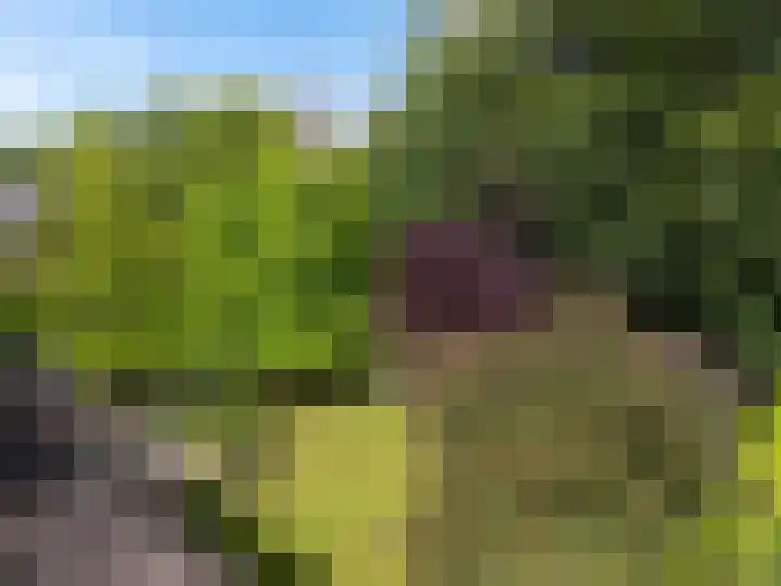 Pannekoekendijk 7 Erica thumbnail 39