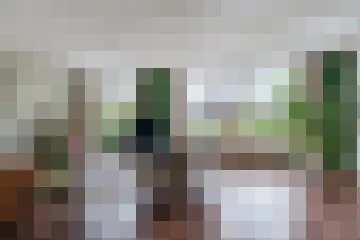 Pannekoekendijk 7 Erica thumbnail 5