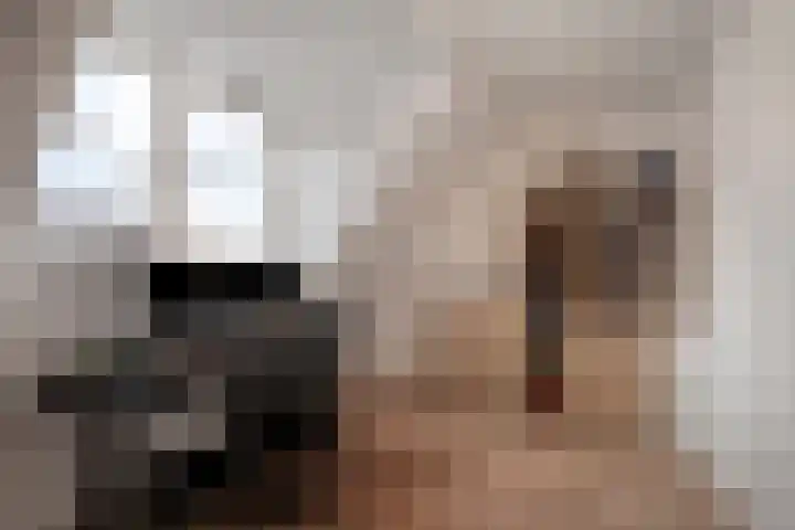 Panneveld 18 Nuenen thumbnail 17