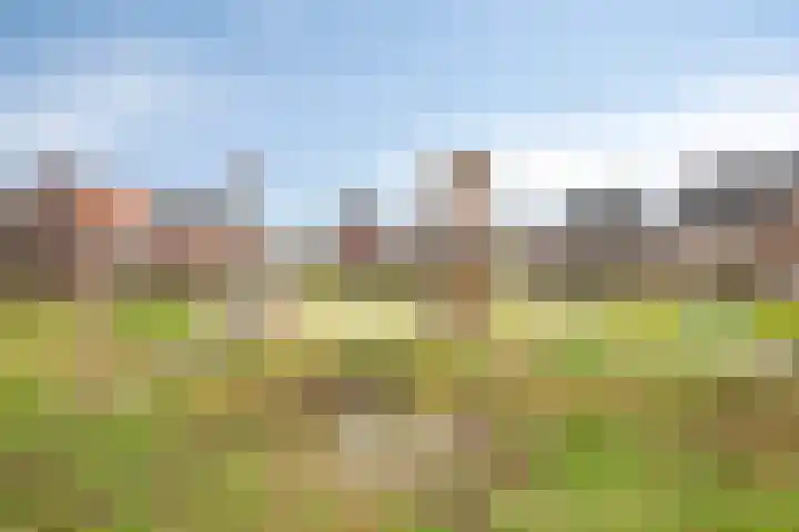 Panneveld 18 Nuenen thumbnail 27