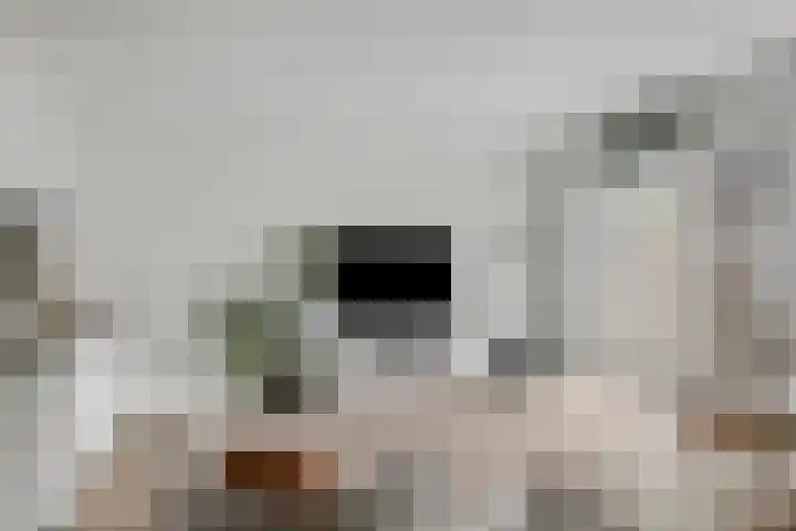 Panneveld 18 Nuenen thumbnail 7