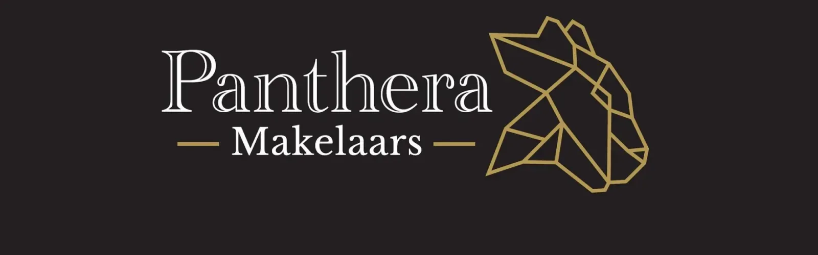 Team foto van Panthera Makelaars