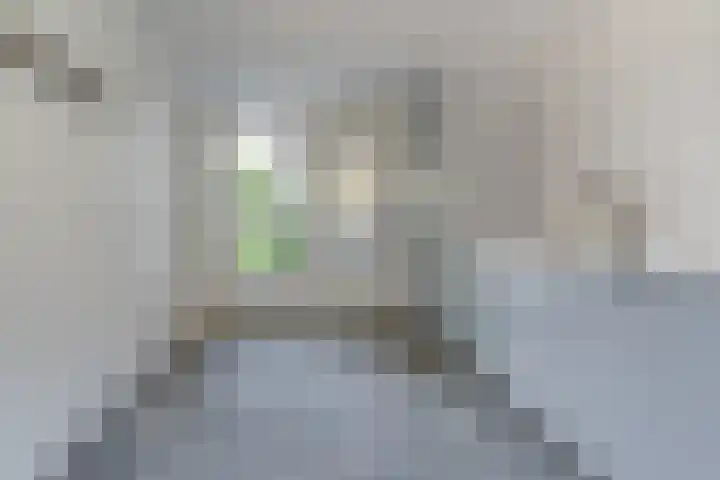 Panweg 56 Zeist thumbnail 32