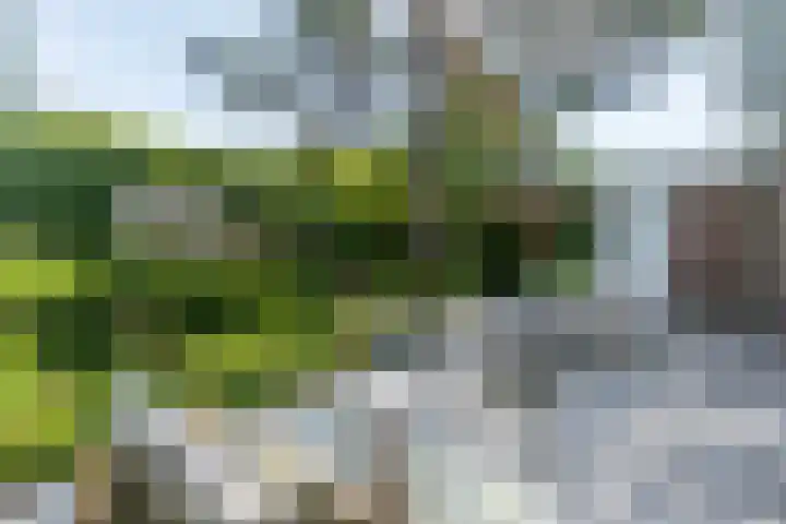 Panweg 56 Zeist thumbnail 4