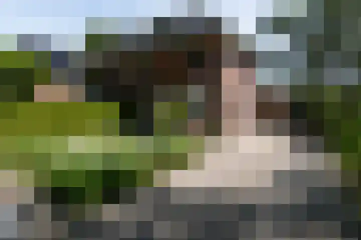 Panweg 56 Zeist thumbnail 5