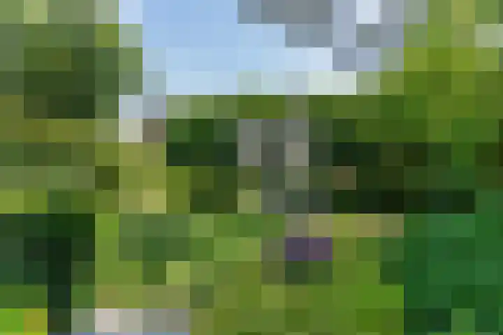 Panweg 56 Zeist thumbnail 56